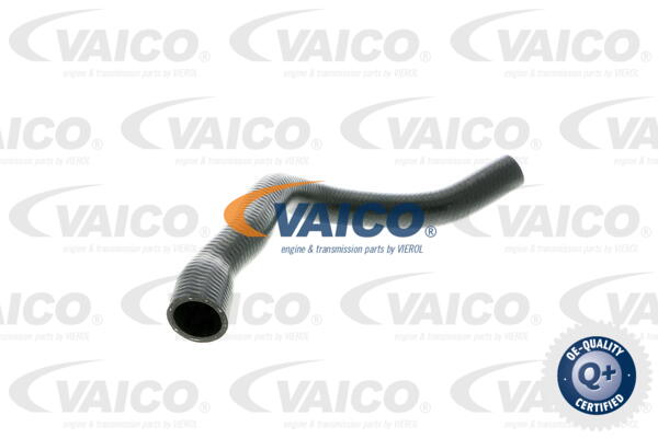 Furtun radiator V20-0145 VAICO