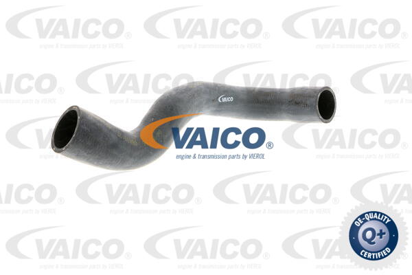 Furtun radiator V20-1235 VAICO