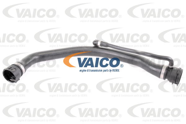 Furtun radiator V20-1317 VAICO