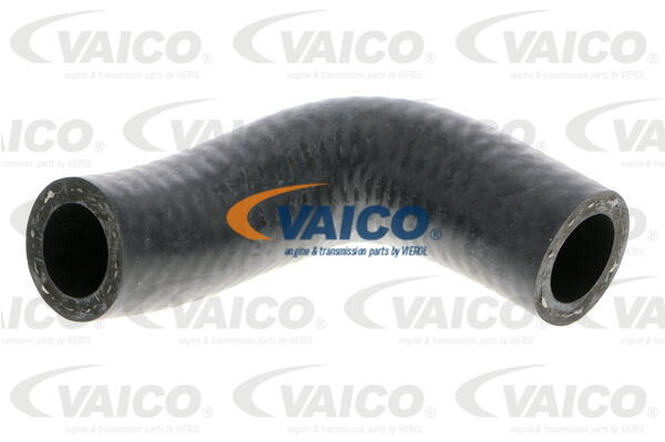 Furtun radiator V20-1769 VAICO