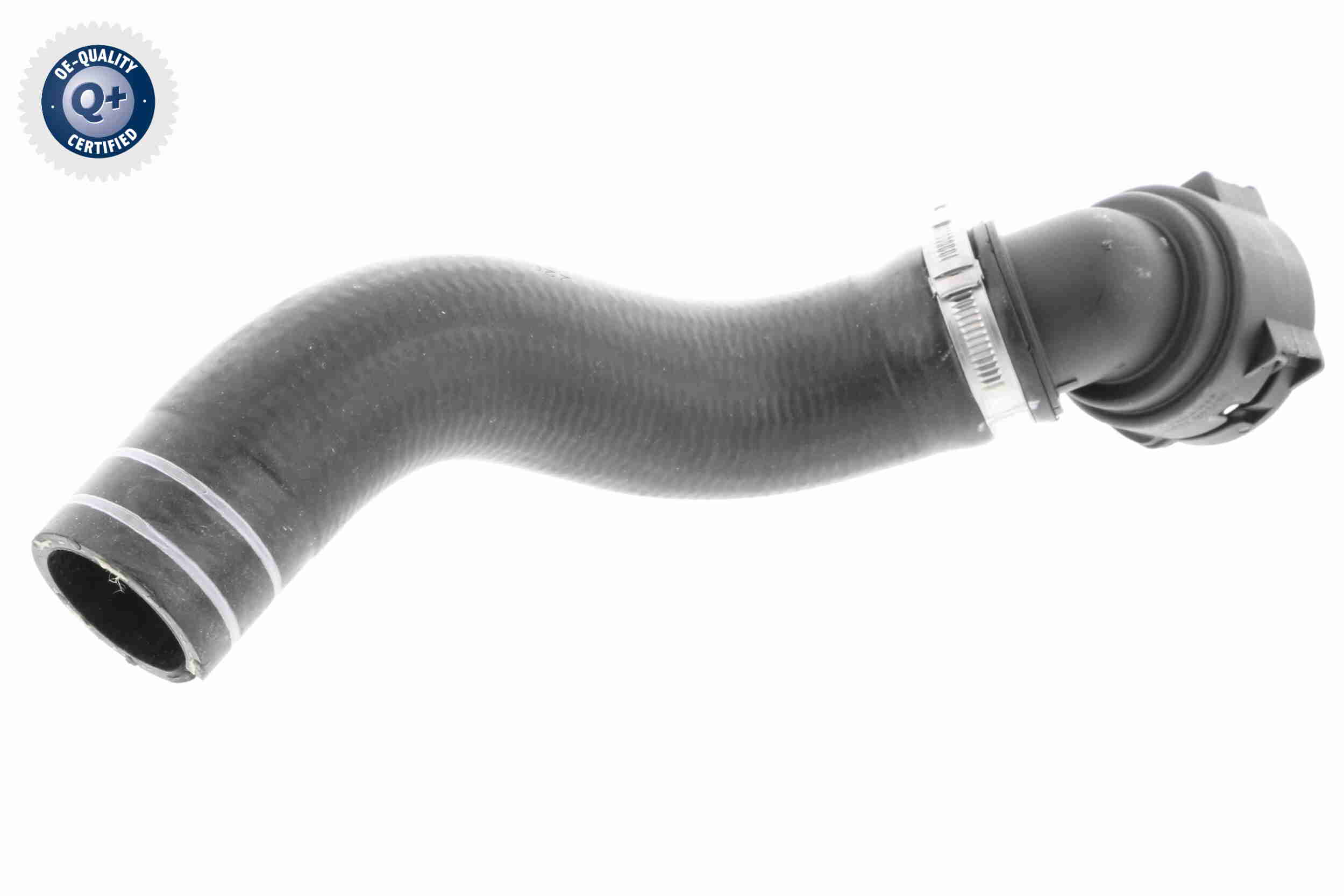 Furtun radiator V24-0833 VAICO