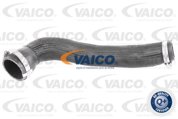 Furtun ear supraalimentare V42-0568 VAICO