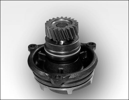 Pompă de apă, răcire motor 981171 GK