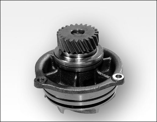 Pompă de apă, răcire motor 981176 GK