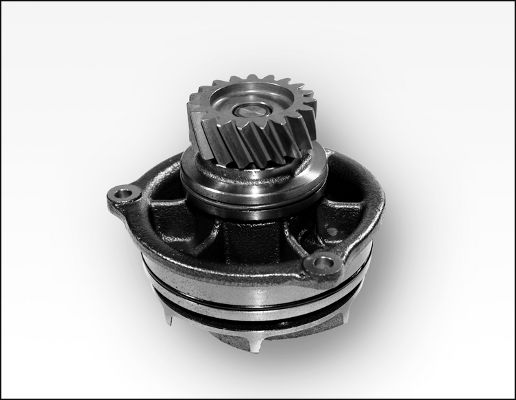 Pompă de apă, răcire motor 981178 GK