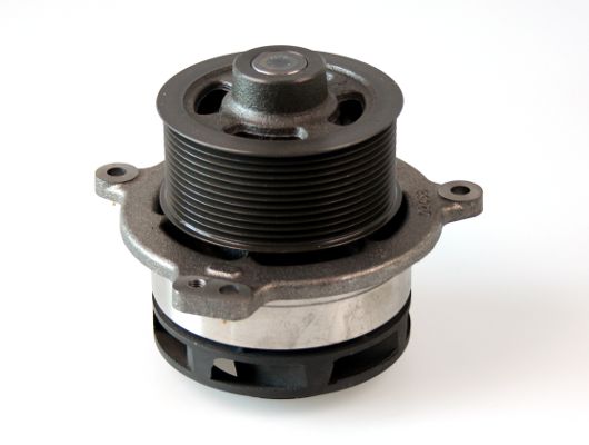 Pompă de apă, răcire motor 981193 GK