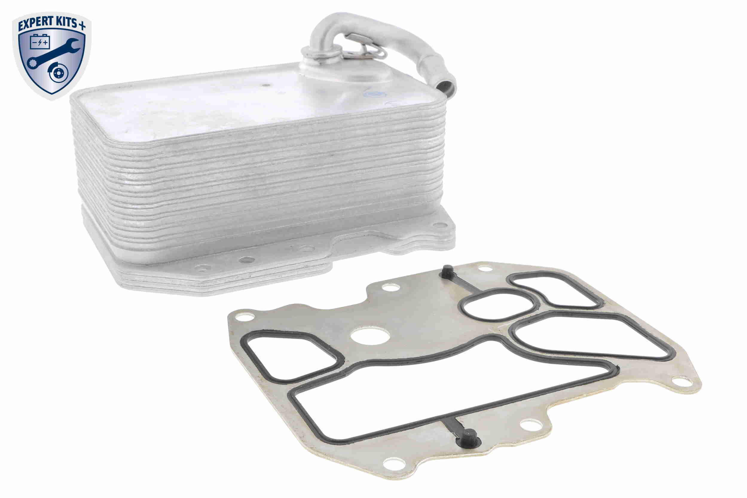 Radiator ulei, ulei motor V15-60-6075 VEMO