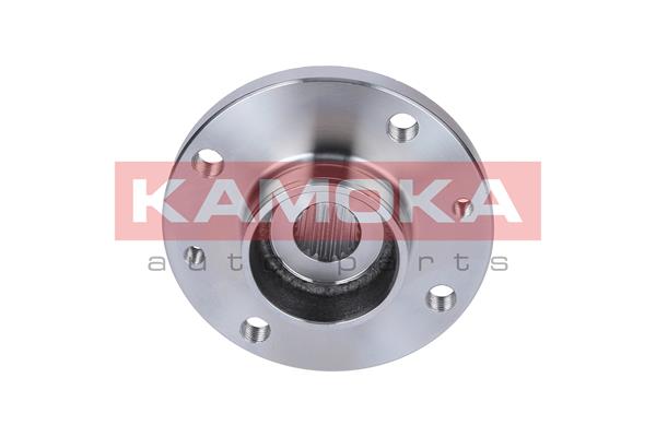 Butuc roata 5500102 KAMOKA