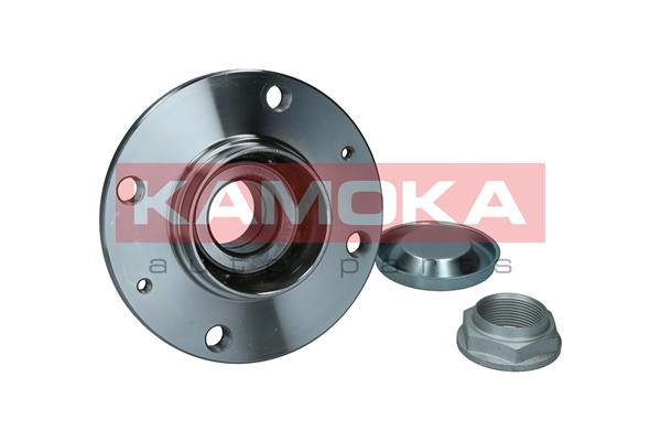 Set rulment roata 5500156 KAMOKA