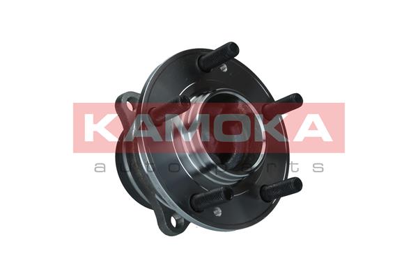 Set rulment roata 5500278 KAMOKA