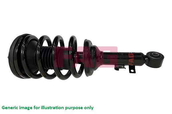 Ansamblu telescop arc 809 0179 10 FAG