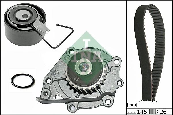 Set pompa apa + curea dintata 530 0376 30 INA