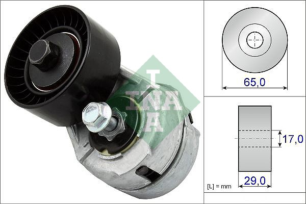 Intinzator curea, curea distributie 534 0109 20 INA