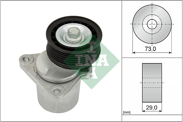 Intinzator curea, curea distributie 534 0128 20 INA