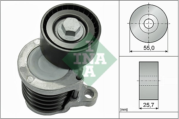 Intinzator curea, curea distributie 534 0591 10 INA