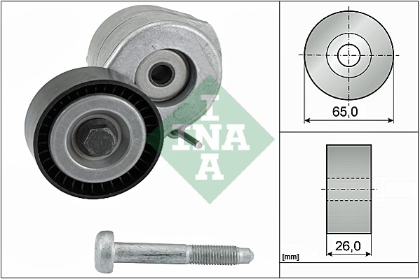 Intinzator curea, curea distributie 534 0607 10 INA