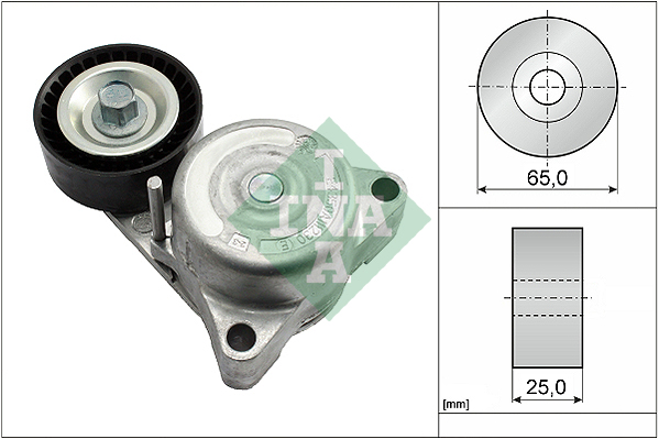 Intinzator curea, curea distributie 534 0638 10 INA