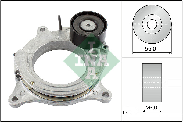 Intinzator curea, curea distributie 534 0692 10 INA