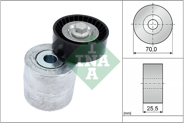 Intinzator curea, curea distributie 534 0715 10 INA