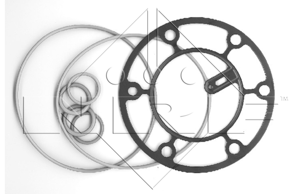 Set inel etansare, sistem climatizare 38302 NRF