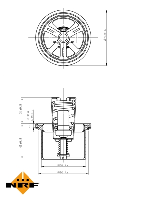 Termostat,lichid racire 725020 NRF