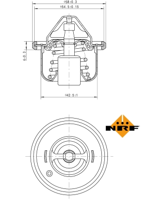 Termostat,lichid racire 725208 NRF