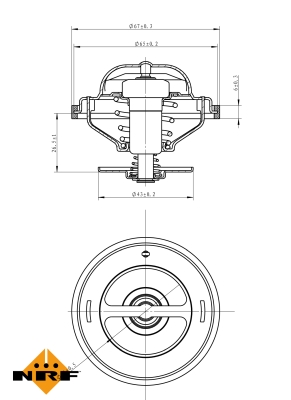 Termostat,lichid racire 725217 NRF