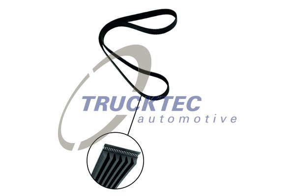 Curea transmisie cu caneluri 01.19.166 TRUCKTEC AUTOMOTIVE