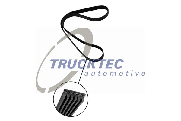 Curea transmisie cu caneluri 01.19.237 TRUCKTEC AUTOMOTIVE