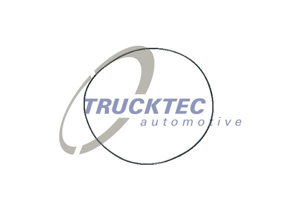 O-ring, camasa cilindru 01.67.084 TRUCKTEC AUTOMOTIVE