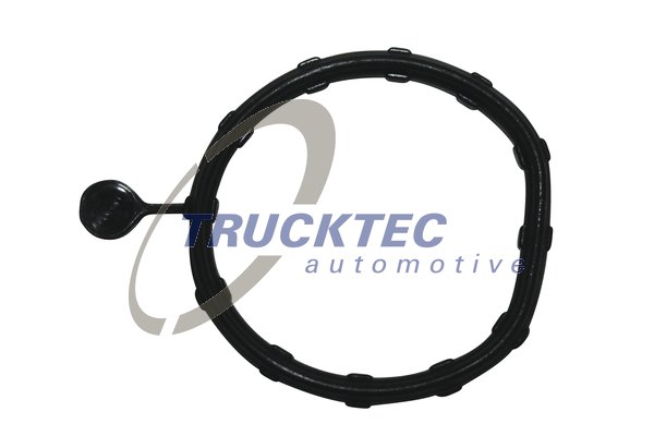 Garnitura, carcasa scurgere apa 02.19.346 TRUCKTEC AUTOMOTIVE