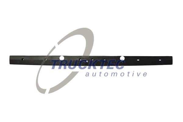 Baghetă de prag 02.53.161 TRUCKTEC AUTOMOTIVE