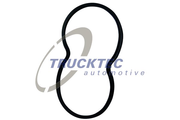 Garnitura, carcasa termostat 04.19.107 TRUCKTEC AUTOMOTIVE