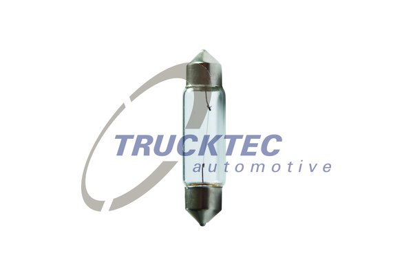 Bec, iluminare numar circulatie 88.58.011 TRUCKTEC AUTOMOTIVE