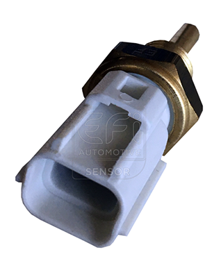 Senzor,temperatura lichid de racire 295055 EFI AUTOMOTIVE