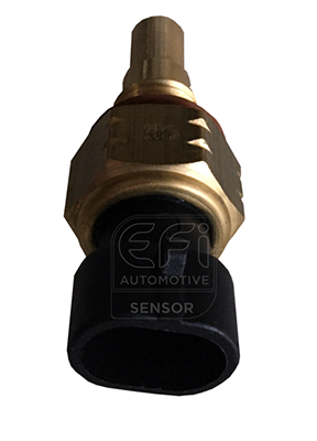 Senzor,temperatura lichid de racire 295066 EFI AUTOMOTIVE