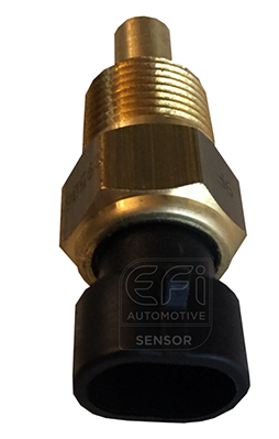 Senzor,temperatura ulei 295069 EFI AUTOMOTIVE