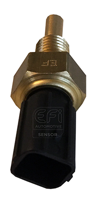 Senzor,temperatura lichid de racire 295089 EFI AUTOMOTIVE