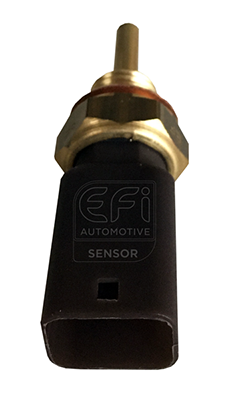 Senzor,temperatura lichid de racire 295145 EFI AUTOMOTIVE