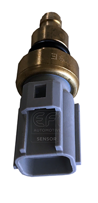 Senzor,temperatura lichid de racire 295155 EFI AUTOMOTIVE