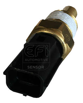 Senzor,temperatura lichid de racire 295159 EFI AUTOMOTIVE