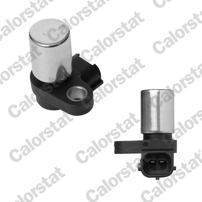 Senzor impulsuri, arbore cotit CS0426 CALORSTAT by Vernet