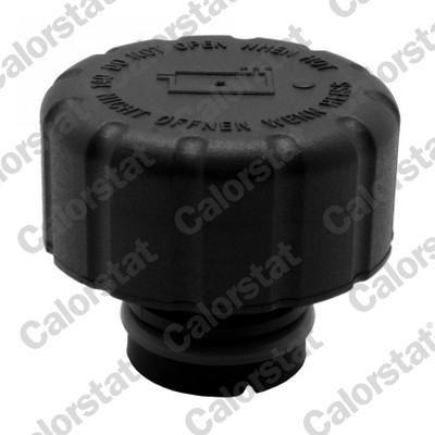 Buson,vas expansiune RC0148 CALORSTAT by Vernet