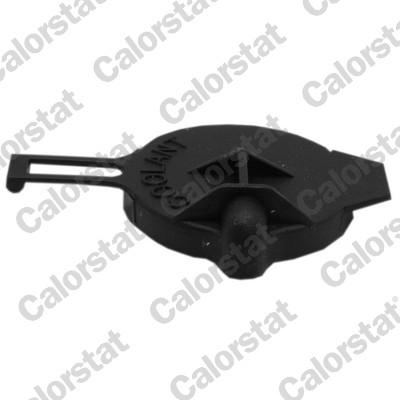 Buson,vas expansiune RC0170 CALORSTAT by Vernet