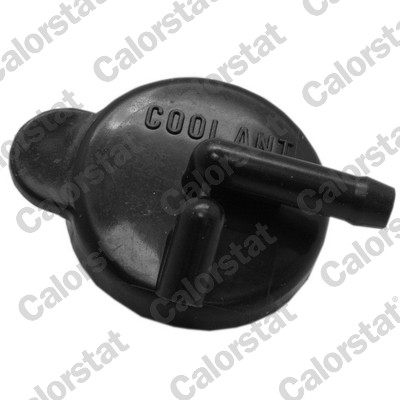 Buson,vas expansiune RC0180 CALORSTAT by Vernet