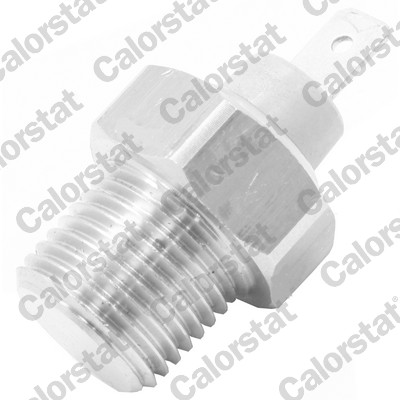 senzor,temperatura lichid de racire WS2966 CALORSTAT by Vernet