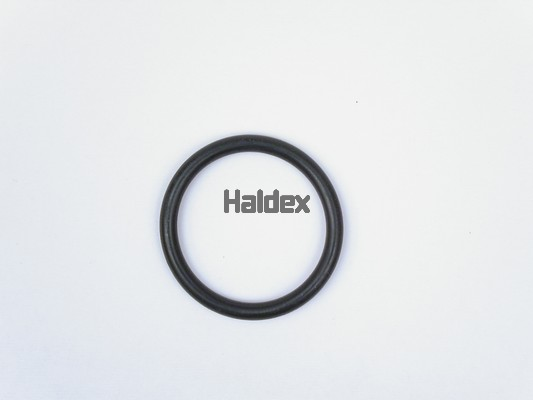 O-ring, camasa cilindru 024022609 HALDEX