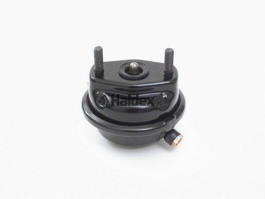 Cilindru receptor frana cu membrana 125240401 HALDEX