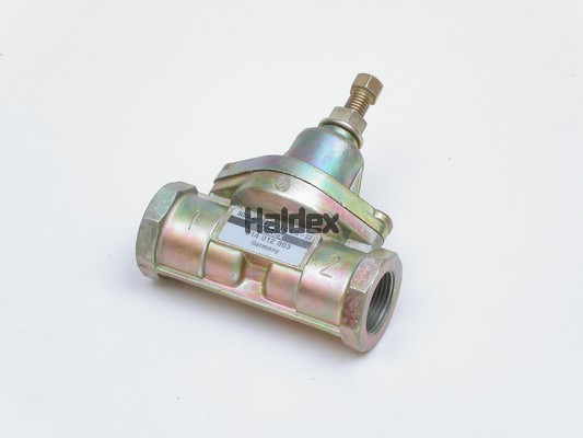 Supapa de supraplin 314012003 HALDEX