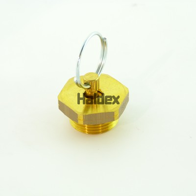 Supapa admisie 315019031 HALDEX